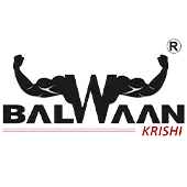 Balwaan