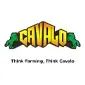 Cavalo
